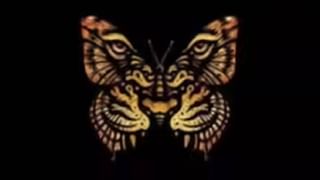 Deepavali 2025: ಬೆಳಕಿನ ಹಬ್ಬದಂದು ನಿಮ್ಮ ಪ್ರೀತಿಪಾತ್ರರಿಗೆ ಈ ಸಂದೇಶ ಕಳುಹಿಸಿ ಶುಭಾಶಯ ಕೋರಿ