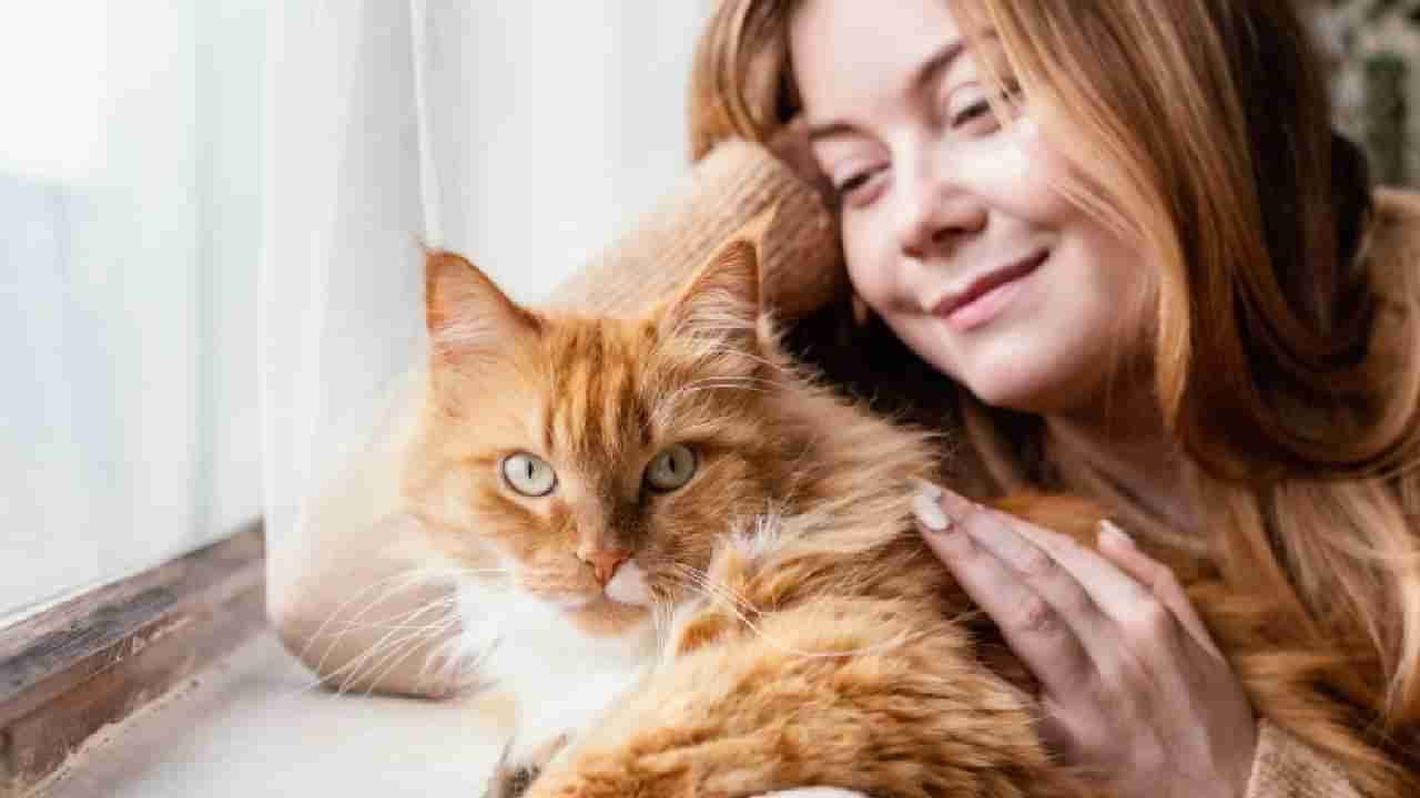 Personality Test: ಸಿಕ್ಕಾಪಟ್ಟೆ ಬುದ್ಧಿವಂತರು; ಬೆಕ್ಕು ಪ್ರಿಯರ ನಿಗೂಢ  ಗುಣ ಸ್ವಭಾವ ಹೇಗಿದೆ ಗೊತ್ತಾ?