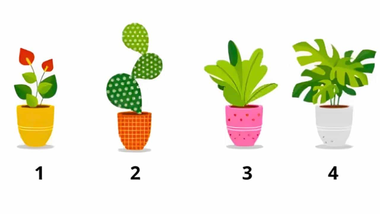 Personality Test: ಈ ಚಿತ್ರದಲ್ಲಿ ನೀವು ಆಯ್ಕೆ ಮಾಡುವ ಸಸ್ಯ ನಿಮ್ಮ ವ್ಯಕ್ತಿತ್ವದ ರಹಸ್ಯ ಹೇಳಬಲ್ಲದು