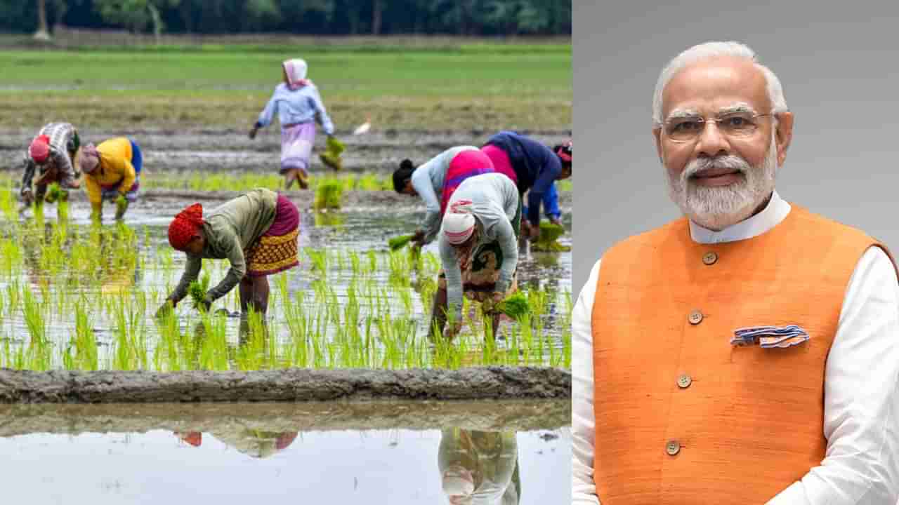 PMDDK Yojana: ಹಾವೇರಿ ಮತ್ತು ಗದಗದಲ್ಲಿ ಪಿಎಂಡಿಡಿಕೆವೈ ಅನುಷ್ಠಾನ; ಯೋಜನೆಗೆ ಚಾಲನೆ ನೀಡಲಿರುವ ಮೋದಿ