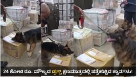Video: 4 ನಿಮಿಷದಲ್ಲಿ 24 ಕೋಟಿ ಮೌಲ್ಯದ ಡ್ರಗ್ಸ್ ಪತ್ತೆ ಮಾಡಿದ ಶ್ವಾನಗಳು! Video: 4 ನಿಮಿಷದಲ್ಲಿ 24 ಕೋಟಿ ಮೌಲ್ಯದ ಡ್ರಗ್ಸ್ ಪತ್ತೆ ಮಾಡಿದ ಶ್ವಾನಗಳು!