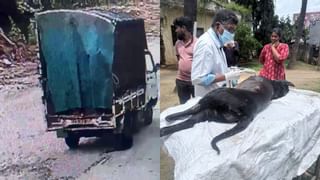 ಬಿಗ್​​​ಬಾಸ್ ಶೋ ಬಂದ್ ಆದರೆ ಆಗುವ ನಷ್ಟ ಎಷ್ಟು: ಮಾಜಿ ಸ್ಪರ್ಧಿ ಹೇಳಿದ್ದೇನು?