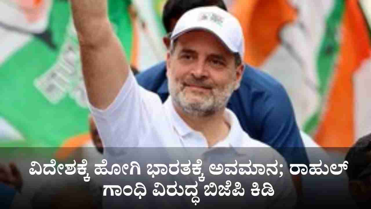 ವಿದೇಶಕ್ಕೆ ಹೋಗಿ ಭಾರತಕ್ಕೆ ಅವಮಾನ; ರಾಹುಲ್ ಗಾಂಧಿ ವಿರುದ್ಧ ಬಿಜೆಪಿ ಕಿಡಿ