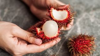 Personality Test: ಈ ಚಿತ್ರದಲ್ಲಿ ನಿಮಗೆ ದೊಡ್ಡದಾಗಿ ಕಾಣಿಸುವ ಚೆಂಡು ನಿಮ್ಮ ನಾಯಕತ್ವದ ಸಾಮರ್ಥ್ಯವನ್ನು ಬಹಿರಂಗಪಡಿಸುತ್ತದೆ