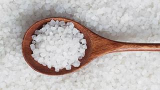 Daily Devotional: ಮನೆಗೆ ಲಕ್ಷ್ಮಿ ಚೇಳು ಬಂದರೆ ಏನರ್ಥ? ಜ್ಯೋತಿಷ್ಯ ಸಲಹೆ ಇಲ್ಲಿದೆ