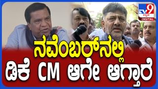 ಮೈಸೂರು ದಸರಾ 2025: ಆಯುಧಪೂಜೆ ಹಿನ್ನೆಲೆ ಅರಮನೆಯ ಪಟ್ಟದ ಆನೆ, ಕುದುರೆ ಮತ್ತು ಹಸುಗಳಿಗೂ ಸಾಂಪ್ರದಾಯಿಕ ಪೂಜೆ