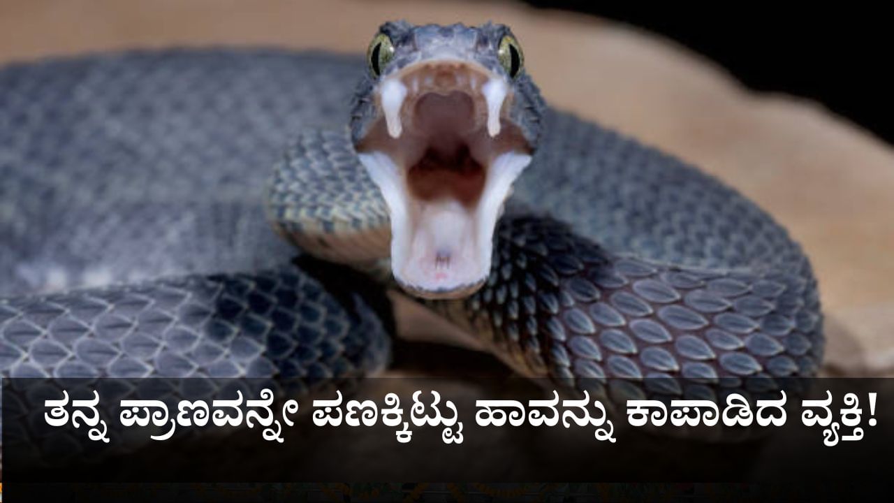 ತನ್ನ ಪ್ರಾಣವನ್ನೇ ಪಣಕ್ಕಿಟ್ಟು ಹಾವನ್ನು ಕಾಪಾಡಿದ ವ್ಯಕ್ತಿ! ತನ್ನ ಪ್ರಾಣವನ್ನೇ ಪಣಕ್ಕಿಟ್ಟು ಹಾವನ್ನು ಕಾಪಾಡಿದ ವ್ಯಕ್ತಿ!