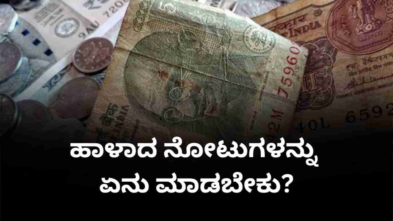 ಮಾಸಿದ ನೋಟುಗಳನ್ನು ಎಷ್ಟು ವಿನಿಯಮ ಮಾಡಬಹುದು? ಎಂಥ ನೋಟುಗಳು ಅಮಾನ್ಯ? ಇಲ್ಲಿದೆ ಆರ್​ಬಿಐ ಮಾರ್ಗಸೂಚಿ