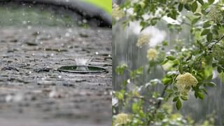 ಚಳಿಗಾಲದಲ್ಲಿಯೇ ಪಾರ್ಶ್ವವಾಯು ಪ್ರಕರಣ ಹೆಚ್ಚಾಗುವುದಕ್ಕೆ ಈ ಅಂಶಗಳೇ ಕಾರಣ! ತಡೆಗಟ್ಟಲು ವೈದ್ಯರು ನೀಡಿದ ಈ ಸಲಹೆಗಳನ್ನು ಪಾಲಿಸಿ