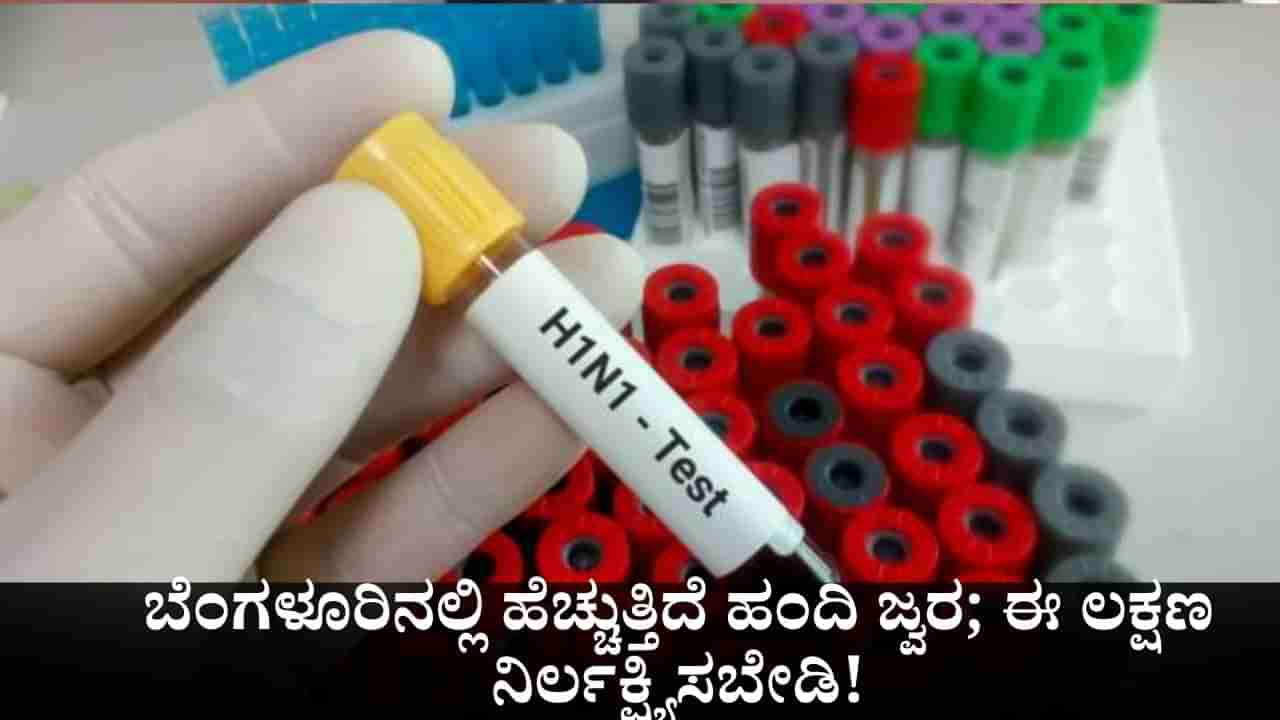ಬೆಂಗಳೂರಿನಲ್ಲಿ ಹೆಚ್ಚುತ್ತಿದೆ ಹಂದಿ ಜ್ವರ; ಈ ಲಕ್ಷಣಗಳನ್ನು ನಿರ್ಲಕ್ಷ್ಯಿಸಬೇಡಿ!