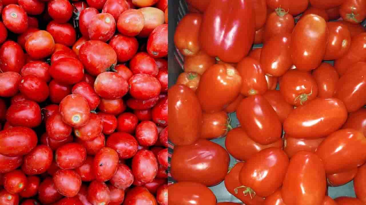 ಅಫ್ಘಾನಿಸ್ತಾನ ಗಡಿ ಬಂದ್: ಪಾಕಿಸ್ತಾನದಲ್ಲಿ ಟೊಮೆಟೊ ಬೆಲೆ ಶೇ.400ರಷ್ಟು ಏರಿಕೆ