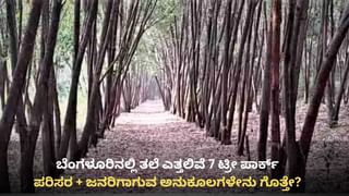 ಬೆಂಗಳೂರು ರೋಡ್ ರೇಜ್ : ಜಸ್ಟ್ ಮಿರರ್ ಗುದ್ದಿದ್ದಕ್ಕೆ ಹೋಯ್ತು ಬೈಕ್ ಸವಾರನ ಜೀವ