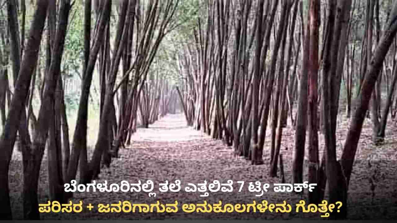 ಬೆಂಗಳೂರಿನ 7 ಸ್ಥಳಗಳಲ್ಲಿ ಟ್ರೀ ಪಾರ್ಕ್, ದೇಶಿ ಮರಗಳ ರಕ್ಷಣೆಗೆ ಕ್ರಮ: ಮತ್ತೊಂದು ಮಹತ್ವದ ಯೋಜನೆಗೆ ಡಿಕೆ ಶಿವಕುಮಾರ್ ಚಿಂತನೆ