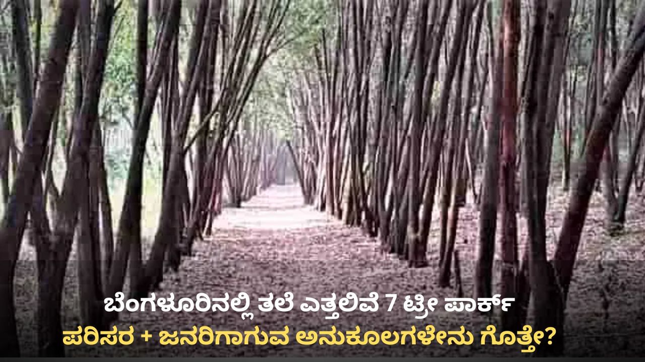 ಬೆಂಗಳೂರಿನ 7 ಸ್ಥಳಗಳಲ್ಲಿ ಟ್ರೀ ಪಾರ್ಕ್, ದೇಶಿ ಮರಗಳ ರಕ್ಷಣೆಗೆ ಕ್ರಮ: ಮತ್ತೊಂದು ಮಹತ್ವದ ಯೋಜನೆಗೆ ಡಿಕೆ ಶಿವಕುಮಾರ್ ಚಿಂತನೆ ಬೆಂಗಳೂರಿನ 7 ಸ್ಥಳಗಳಲ್ಲಿ ಟ್ರೀ ಪಾರ್ಕ್, ದೇಶಿ ಮರಗಳ ರಕ್ಷಣೆಗೆ ಕ್ರಮ: ಮತ್ತೊಂದು ಮಹತ್ವದ ಯೋಜನೆಗೆ ಡಿಕೆ ಶಿವಕುಮಾರ್ ಚಿಂತನೆ