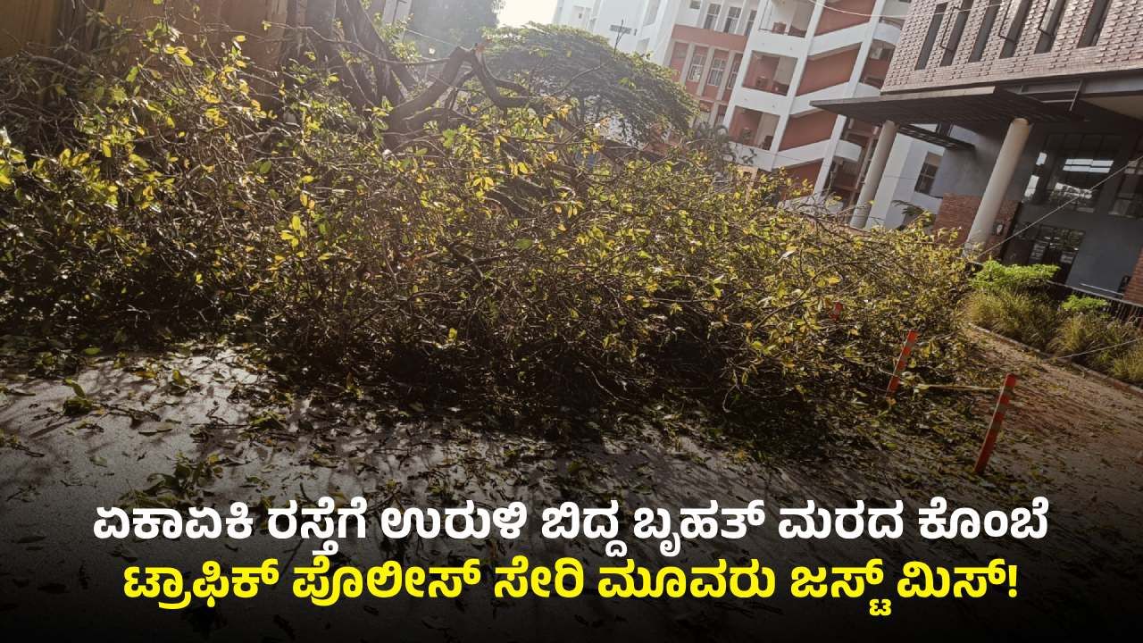 ಬೆಂಗಳೂರು: ಮಳೆ ಅವಾಂತರ; ಮುರಿದು ಬಿದ್ದ ಮರದ ಕೊಂಬೆ, ಕೂದಲೆಳೆ ಅಂತರದಲ್ಲಿ ಮೂವರು ಪಾರು