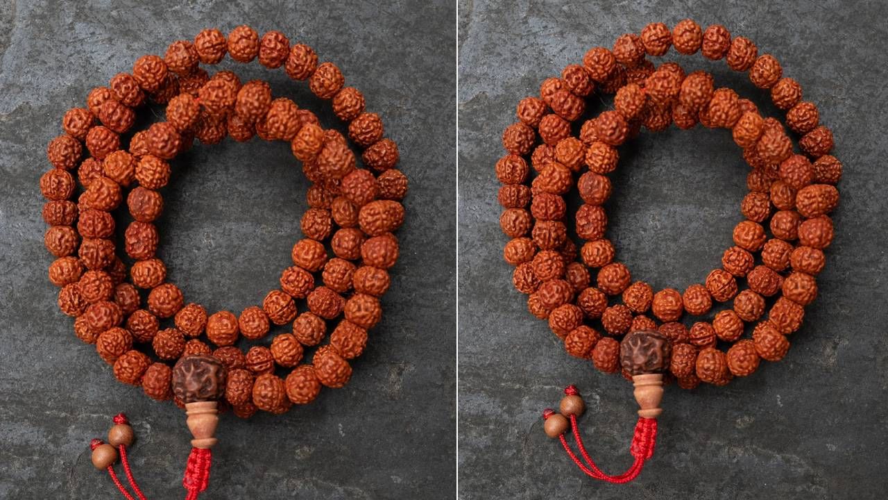 Daily Devotional: ತ್ರಿಮುಖ ರುದ್ರಾಕ್ಷಿಯ ಆಧ್ಯಾತ್ಮಿಕ ರಹಸ್ಯ ಮತ್ತು ಮಹತ್ವದ ಬಗ್ಗೆ ಇಲ್ಲಿ ತಿಳಿಯಿರಿ