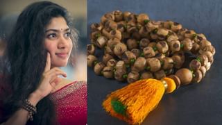 Vijayadashami 2025: ವಿಜಯದಶಮಿಯ ಮಹತ್ವ, ಫಲ ಹಾಗೂ ಶಮಿ ಪೂಜೆಯ ವಿಶೇಷತೆಗಳು