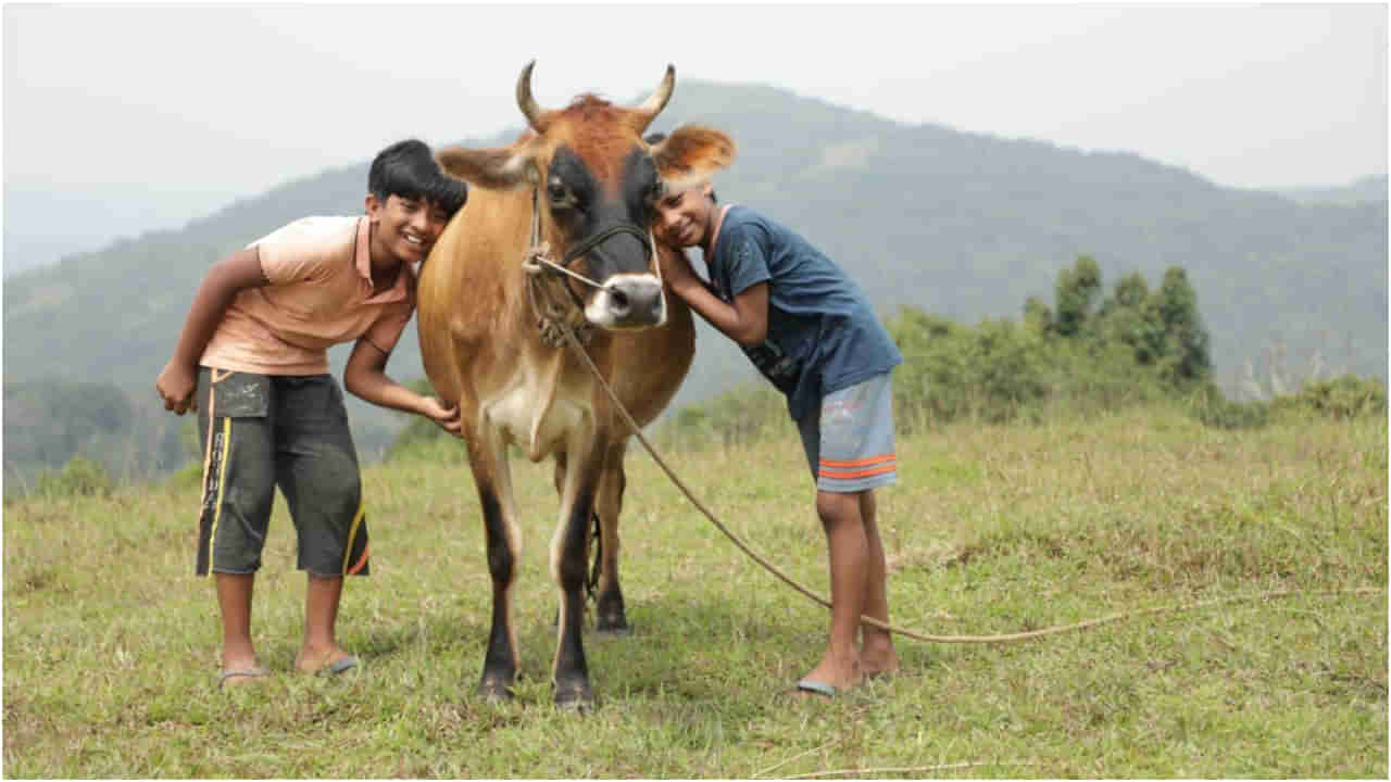 ಟ್ರೇಲರ್ ಮೂಲಕ ಗಮನ ಸೆಳೆದ ಮಕ್ಕಳ ಸಿನಿಮಾ ‘ವಲವಾರ’: ಸದ್ಯದಲ್ಲೇ ಬಿಡುಗಡೆ