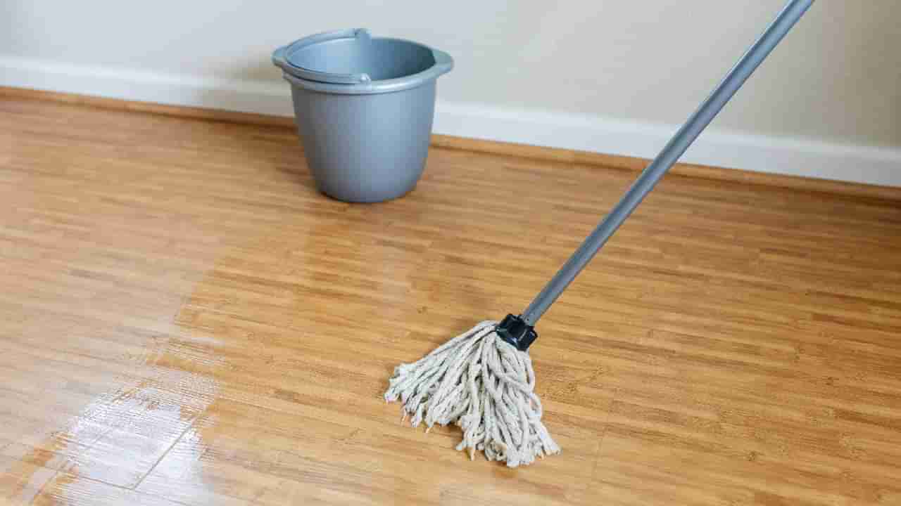 Vasthu Tips: ದುಷ್ಟ ಶಕ್ತಿಯಿಂದ ಮುಕ್ತಿ ಪಡೆಯಲು ನೀರಿಗೆ ಹಿಡಿ ಉಪ್ಪು ಹಾಕಿ ನೆಲ ಒರೆಸಿ; ವಾರಗಳಲ್ಲಿ ಫಲಿತಾಂಶ ಪಡೆಯುವಿರಿ