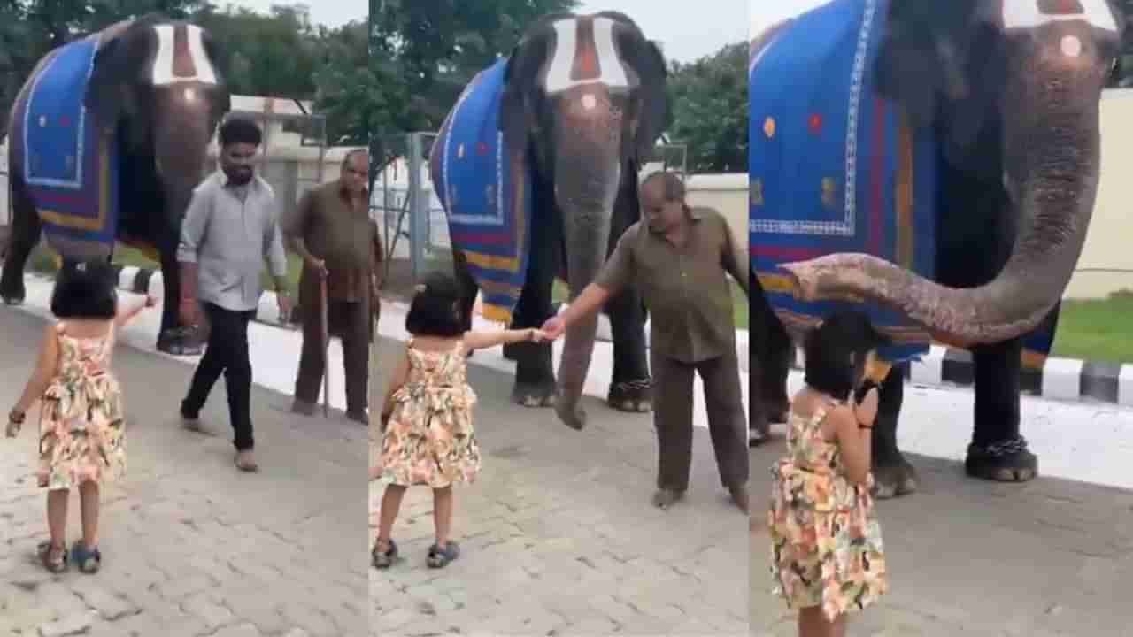 Video: ತಲೆಬಾಗಿ ನಮಸ್ಕರಿಸಿದ ಪುಟಾಣಿಗೆ ಸೊಂಡಿಲೆತ್ತಿ ಆಶೀರ್ವಾದ ಮಾಡಿದ ಗಜರಾಜ