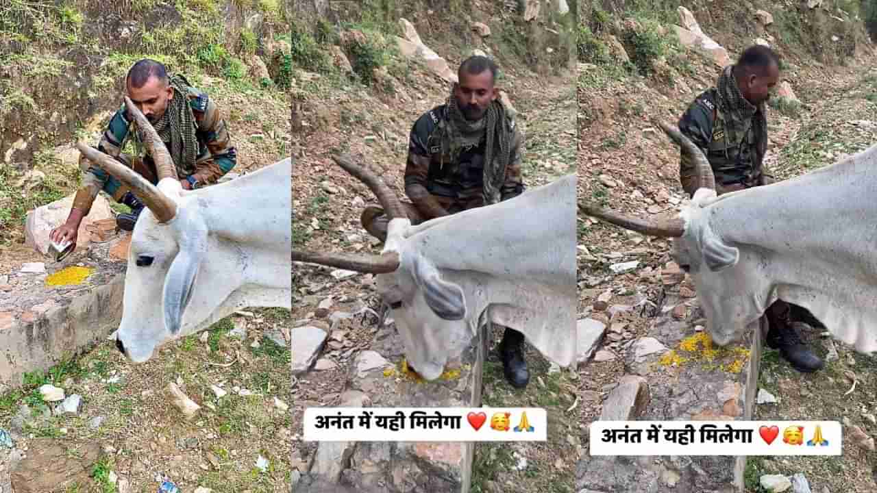 ಬಾ ಊಟ ತಿನ್ನು; ಹಸಿದು ಬಂದ ಗೋವಿನ ಹೊಟ್ಟೆ ತುಂಬಿಸಿದ ಯೋಧ