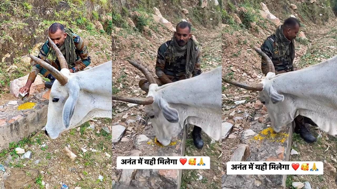 ಬಾ ಊಟ ತಿನ್ನು; ಹಸಿದು ಬಂದ ಗೋವಿನ ಹೊಟ್ಟೆ ತುಂಬಿಸಿದ ಯೋಧ