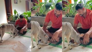 Viral: ಬೆಂಗಳೂರಿಗೆ ಹೋಲಿಸಿದ್ರೆ ಗುರುಗಾಂವ್ ಜೀವನ ಹೇಳಿದಷ್ಟು ಸುಲಭ ಇಲ್ವೇ ಇಲ್ಲ ಎಂದ ಮಹಿಳೆ