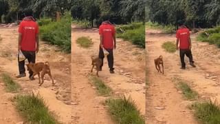 Optical Illusion: ನಿಮ್ಮದು ಹದ್ದಿನ ಕಣ್ಣಾಗಿದ್ರೆ ಈ ಚಿತ್ರದಲ್ಲಿ ಅಡಗಿರುವ ಪಾಂಡಗಳನ್ನು ಗುರುತಿಸಿ