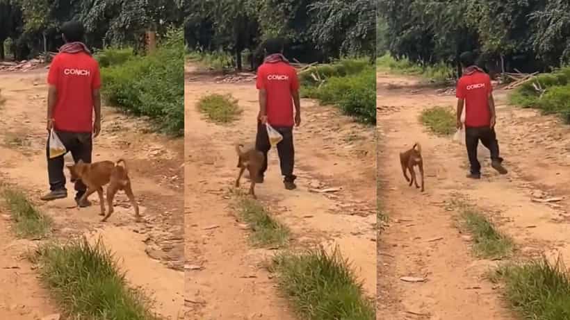 Video: ಕಿಲಾಡಿ ಜೋಡಿ; ತಾನ್ ಕುಡಿಯೋದಲ್ದೆ ನಾಯಿಗೂ ಎಣ್ಣೆ ಕುಡಿಸಿ ತೂರಾಡುತ್ತಾ ಹೋದ ವ್ಯಕ್ತಿ