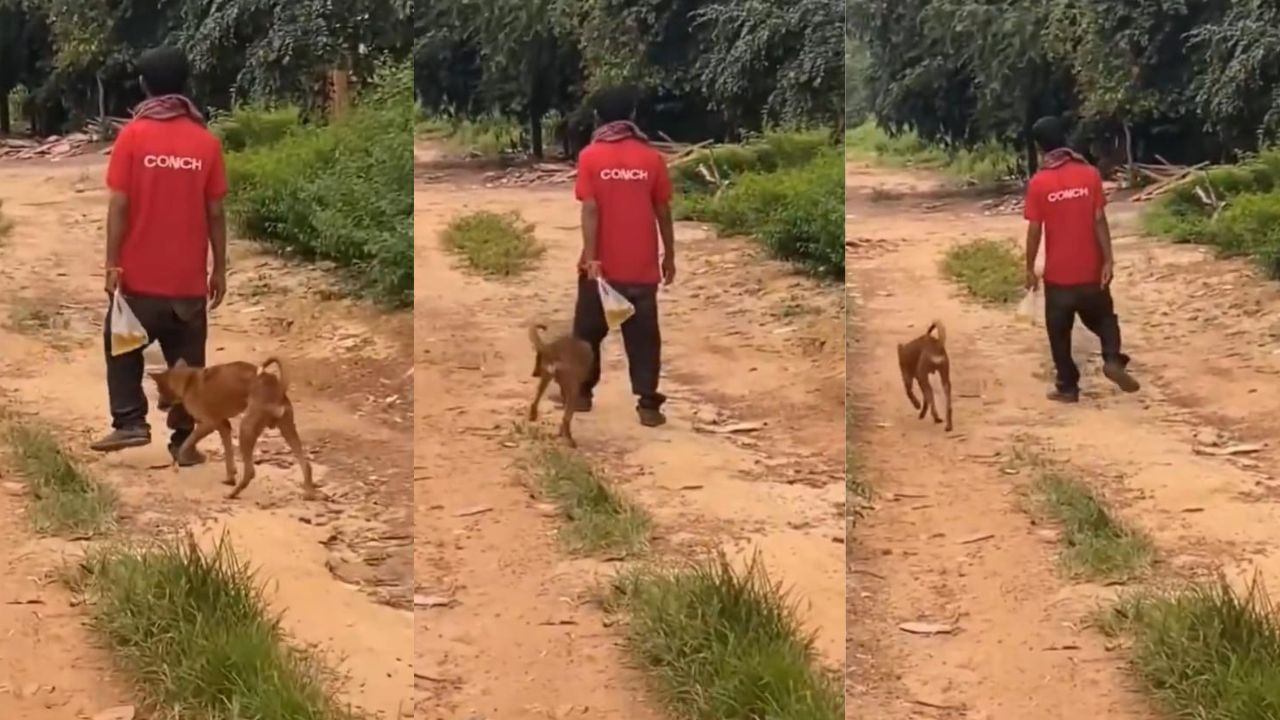 Video: ಕಿಲಾಡಿ ಜೋಡಿ; ತಾನ್ ಕುಡಿಯೋದಲ್ದೆ ನಾಯಿಗೂ ಎಣ್ಣೆ ಕುಡಿಸಿ ತೂರಾಡುತ್ತಾ ಹೋದ ವ್ಯಕ್ತಿ