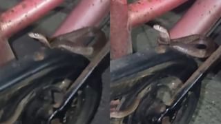 Viral: ತನ್ನ ಹೆಂಡ್ತಿ ಎಂಟು ತಿಂಗಳ ಗರ್ಭಿಣಿ, ಪತ್ನಿಯನ್ನು ಟೆಸ್ಟ್‌ಗೆ ಕರ್ಕೊಂಡು ಹೋಗಿ ಟ್ರಾಫಿಕ್‌ನಲ್ಲಿ ಸಿಲುಕಿದ್ವಿ; ಕಹಿ ಅನುಭವ ಬಿಚ್ಚಿಟ್ಟ ಬೆಂಗಳೂರಿಗ