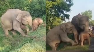 Viral: ತನ್ನ ಹೆಂಡ್ತಿ ಎಂಟು ತಿಂಗಳ ಗರ್ಭಿಣಿ, ಪತ್ನಿಯನ್ನು ಟೆಸ್ಟ್‌ಗೆ ಕರ್ಕೊಂಡು ಹೋಗಿ ಟ್ರಾಫಿಕ್‌ನಲ್ಲಿ ಸಿಲುಕಿದ್ವಿ; ಕಹಿ ಅನುಭವ ಬಿಚ್ಚಿಟ್ಟ ಬೆಂಗಳೂರಿಗ