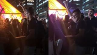 Optical Illusion: ಮರದಲ್ಲಿ ಅಡಗಿ ಕುಳಿತಿದೆ ಮುದ್ದಾದ ಬೆಕ್ಕು, 7 ಸೆಕೆಂಡುಗಳಲ್ಲಿ ಗುರುತಿಸಿ