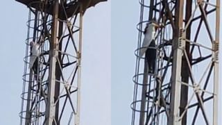 Viral: ತಿಂಗಳಿಗೆ ಅಲ್ಲ, ವಾರಕ್ಕೆ 21 ಸಾವಿರ ರೂ ಸಂಪಾದನೆ; ಇದು ಬೆಂಗಳೂರಿನ ಜೆಪ್ಟೋ ಡೆಲಿವರಿ ಬಾಯ್ ಆದಾಯ