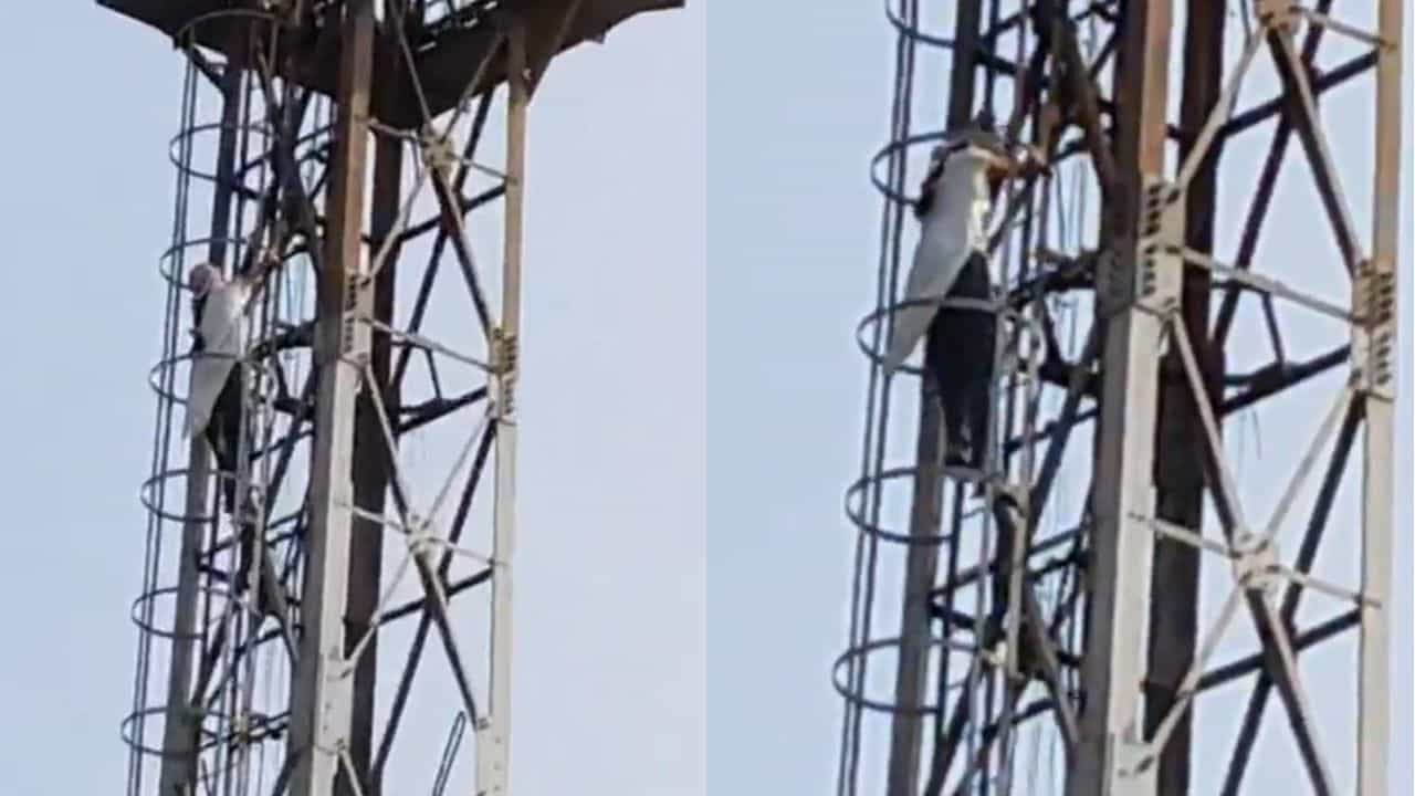 Video: ಮನೆ ಕ್ಲೀನ್ ಮಾಡು ಎಂದ ತಾಯಿ; ಕೋಪಗೊಂಡು ಮೊಬೈಲ್ ಟವರ್ ಹತ್ತಿದ ಬಾಲಕಿ