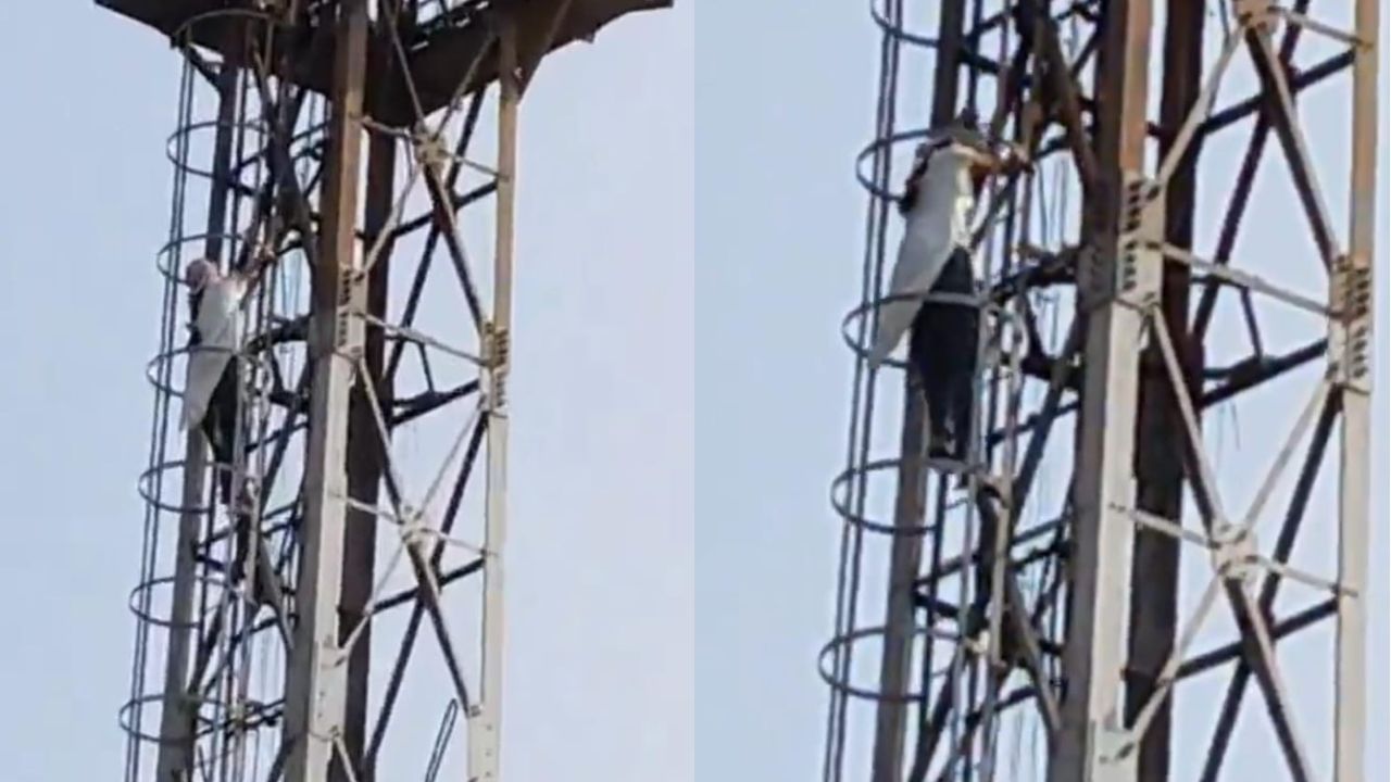 Video: ಮನೆ ಕ್ಲೀನ್ ಮಾಡು ಎಂದ ತಾಯಿ; ಕೋಪಗೊಂಡು ಮೊಬೈಲ್ ಟವರ್ ಹತ್ತಿದ ಬಾಲಕಿ