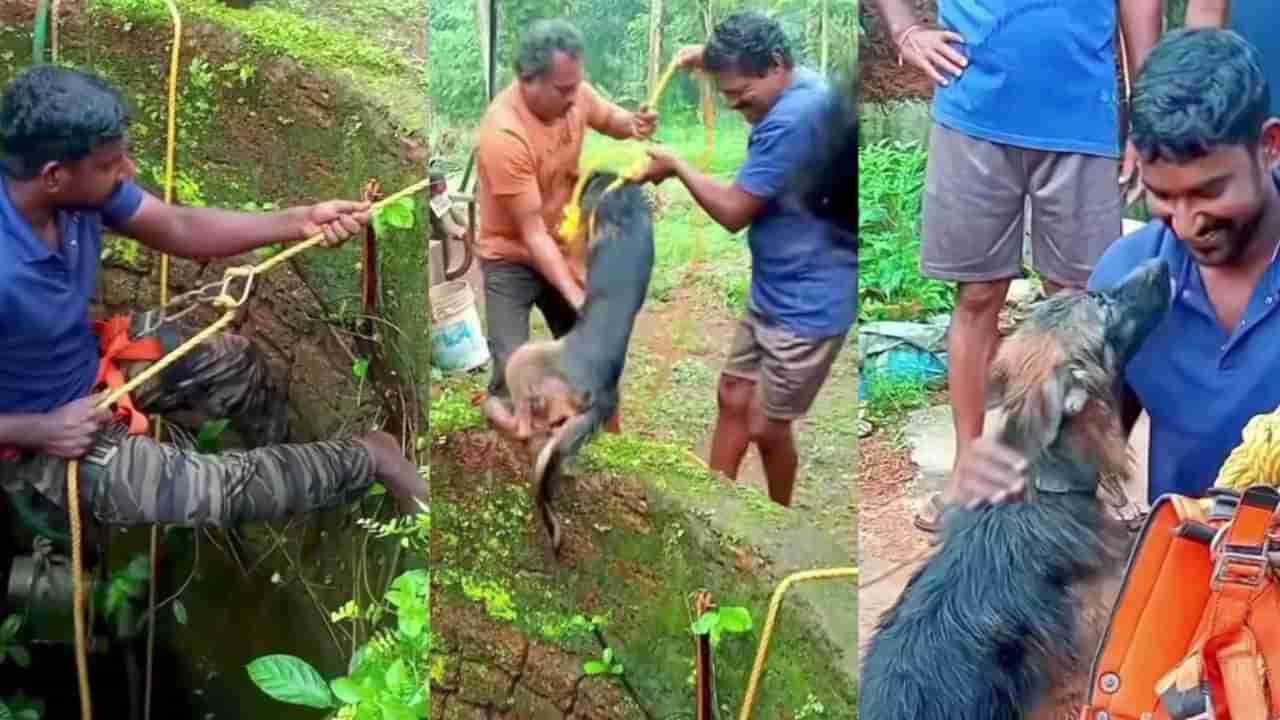 Video: ತೆರೆದ ಬಾವಿಗೆ ಬಿದ್ದ ಶ್ವಾನ; ಸಹಾಯಕ್ಕೆ ಧಾವಿಸಿ ಜೀವ ಉಳಿಸಿದ ಸಹೃದಯಿ