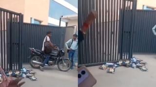 Video: ಕಣ್ಣಿಲ್ಲದ ಈ ಕರುವಿಗೆ ಗೋಪಾಲಕ ಕೃಷ್ಣನೆಂದರೆ ಎಷ್ಟು ಇಷ್ಟ ನೋಡಿ