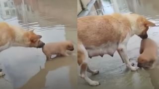 Viral: ಒಳ್ಳೆಯವರಂತೆ ಕಂಡರೂ ಸಂದರ್ಶನದಲ್ಲಿ ಅಭ್ಯರ್ಥಿಯನ್ನು ರಿಜೆಕ್ಟ್ ಮಾಡಿದ ಹಿಂದಿನ ಕಾರಣ ವಿವರಿಸಿದ ಮಹಿಳೆ