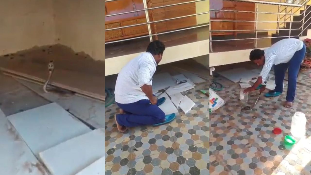 Video: ಮನೆಯ ಮುಂಭಾಗದಲ್ಲಿ ಕಾಣಿಸಿಕೊಂಡ ಮಿಡಿ ನಾಗರಹಾವಿನ ರಕ್ಷಣೆ, ವೈರಲ್ ಆಯ್ತು ದೃಶ್ಯ