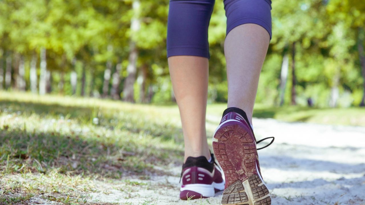 Reverse Walking: ಎಂದಾದರೂ ರಿವರ್ಸ್ ವಾಕಿಂಗ್ ಮಾಡಿದ್ದೀರಾ? ಈ ರೀತಿ ನಡೆಯುವುದರಿಂದ ಸಿಗುತ್ತೆ ಸಖತ್ ಪ್ರಯೋಜನ Reverse Walking: ಎಂದಾದರೂ ರಿವರ್ಸ್ ವಾಕಿಂಗ್ ಮಾಡಿದ್ದೀರಾ? ಈ ರೀತಿ ನಡೆಯುವುದರಿಂದ ಸಿಗುತ್ತೆ ಸಖತ್ ಪ್ರಯೋಜನ