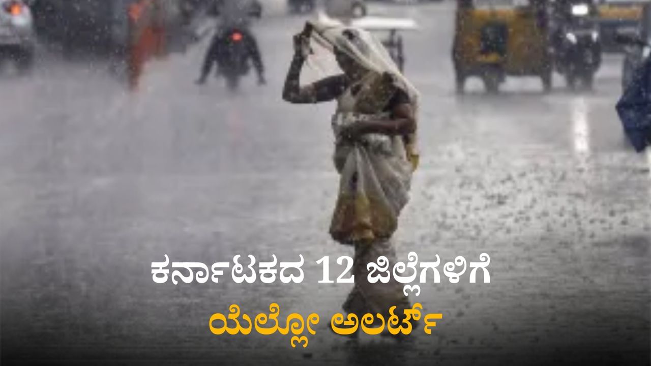 Weather Today: ರಾಜ್ಯದ 12 ಜಿಲ್ಲೆಗಳಿಗೆ ಯೆಲ್ಲೋ​ ಅಲರ್ಟ್​; ಹವಾಮಾನ ಇಲಾಖೆ ವರದಿ