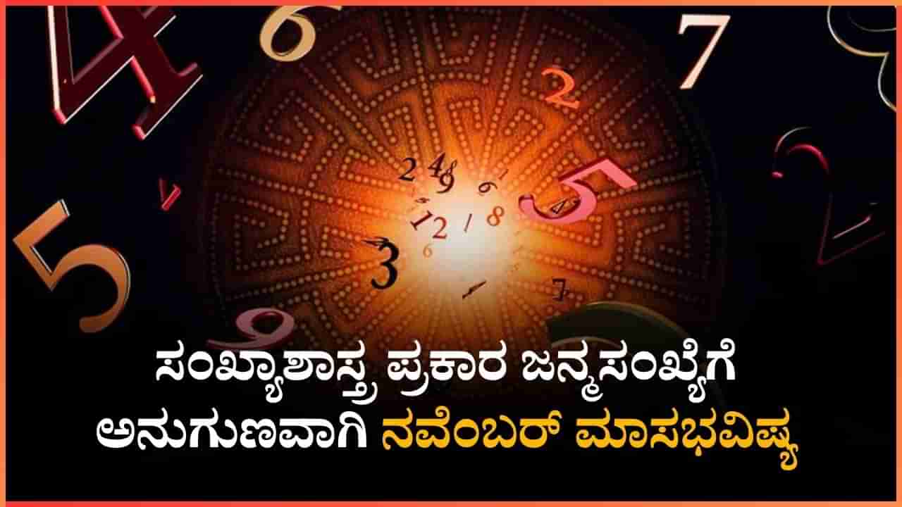 Numerology Prediction: ಸಂಖ್ಯಾಶಾಸ್ತ್ರ ಪ್ರಕಾರ ಜನ್ಮಸಂಖ್ಯೆಗೆ ಅನುಗುಣವಾಗಿ ನವೆಂಬರ್ ಮಾಸಭವಿಷ್ಯ