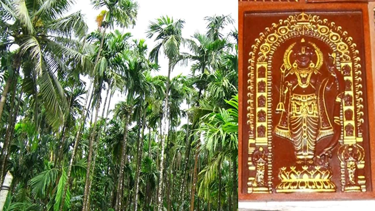 ತಮ್ಮ ನಾಲ್ಕು ಏಕರೆ ಅಡಿಕೆ ತೋಟದಲ್ಲಿ ಹೇರಳವಾಗಿದ್ದ ತ್ಯಾಜ್ಯ ವಸ್ತುಗಳನ್ನ, ವಿಲೆವಾರಿ ಮಾಡುವುದು ಇವರಿಗೆ ಭಾರಿ ದೊಡ್ಡ ಸವಾಲಾಗಿತ್ತು. ಸದ್ಯ ಇದನ್ನ ಏನು ಮಾಡಲಾಗದು ಎಂದು ಕೈಕಟ್ಟಿ ಕುಳಿತುಕೊಳ್ಳದೆ ಅಡಿಕೆ ತ್ಯಾಜ್ಯದಿಂದ ಆಕರ್ಷಕ ವಸ್ತುಗಳನ್ನ ತಯಾರಿಸಿ ಹಣ ಗಳಿಸುತ್ತಿದ್ದಾರೆ.
