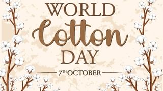 Optical Illusion: ತರಕಾರಿ ಗಿಡಗಳ ಮಧ್ಯೆ ಮರೆಯಾಗಿರುವ ಬೆಕ್ಕನ್ನು ಕಂಡುಹಿಡಿಯಿರಿ ನೋಡೋಣ