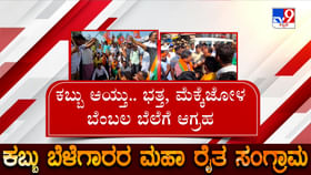 ಕಬ್ಬು ಆಯ್ತು ಭತ್ತ, ಮೆಕ್ಕೆಜೋಳ ಬೆಂಬಲ ಬೆಲೆಗೆ ಆಗ್ರಹ: ರೈತರಿಂದ ಪ್ರತಿಭಟನೆ