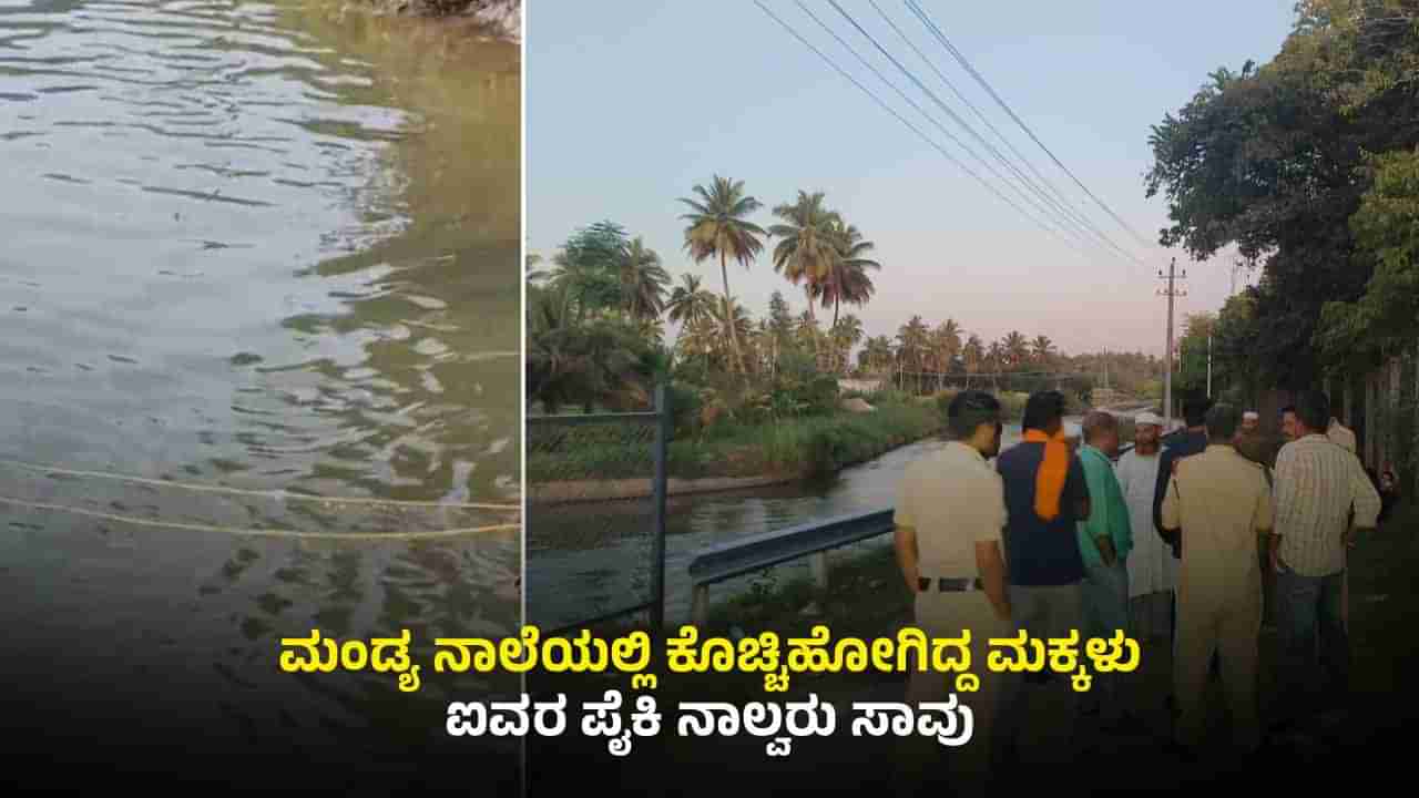 ಮಂಡ್ಯ: ಪ್ರವಾಸಕ್ಕೆ ಬಂದಿದ್ದ ವೇಳೆ ಭಾರೀ ದುರಂತ; ನಾಲ್ವರು ಮಕ್ಕಳು ಸಾವು, ಓರ್ವ ಬಾಲಕನ ರಕ್ಷಣೆ