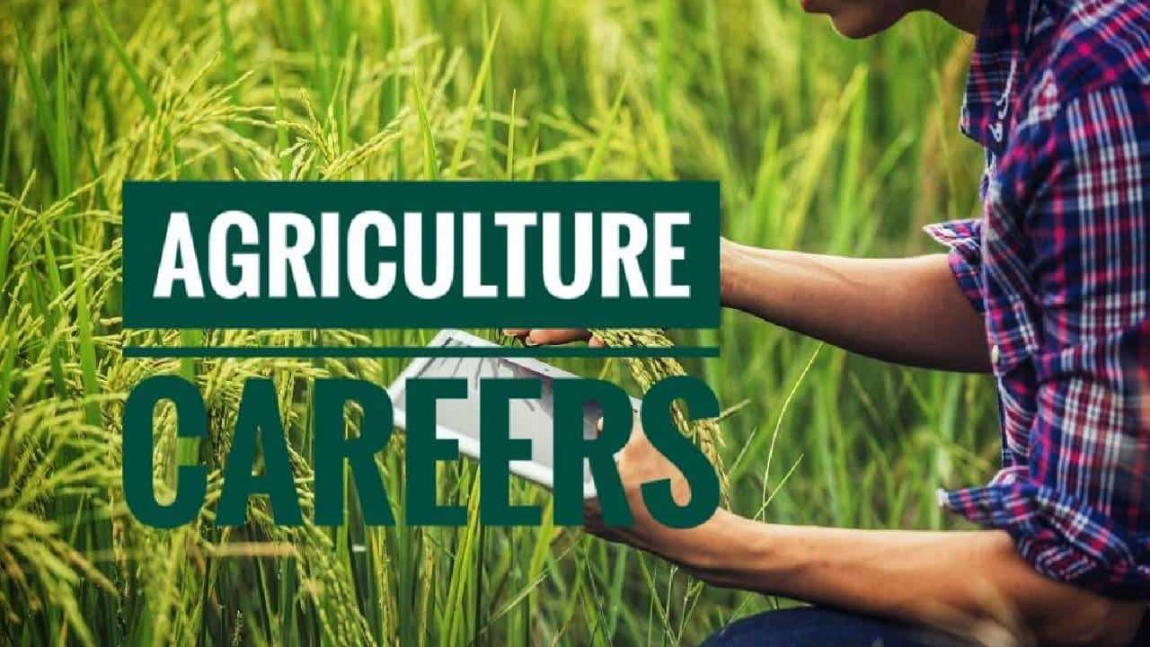 Agricultural Assistant Jobs: ಕೃಷಿ ಕ್ಷೇತ್ರದಲ್ಲಿ ಸರ್ಕಾರಿ ಉದ್ಯೋಗ ಪಡೆಯಲು ಇಲ್ಲಿದೆ ಸುವರ್ಣವಕಾಶ; ತಿಂಗಳಿಗೆ 81,000 ರೂ. ವರೆಗೆ ಸಂಬಳ Agricultural Assistant Jobs: ಕೃಷಿ ಕ್ಷೇತ್ರದಲ್ಲಿ ಸರ್ಕಾರಿ ಉದ್ಯೋಗ ಪಡೆಯಲು ಇಲ್ಲಿದೆ ಸುವರ್ಣವಕಾಶ; ತಿಂಗಳಿಗೆ 81,000 ರೂ. ವರೆಗೆ ಸಂಬಳ