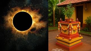 Vasthu Tips: ಮಕ್ಕಳ ವಿದ್ಯಾಭ್ಯಾಸದಲ್ಲಿ ಏಕಾಗ್ರತೆ ಮತ್ತು ಜ್ಞಾನ ವೃದ್ಧಿಗೆ ಸರಳ ವಾಸ್ತು ಸಲಹೆ ಇಲ್ಲಿದೆ