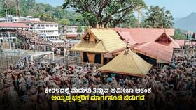 ಮೆದುಳು ತಿನ್ನುವ ಅಮೀಬಾ ಆತಂಕ: ಅಯ್ಯಪ್ಪ ಭಕ್ತರಿಗೆ ಮಾರ್ಗಸೂಚಿ ಬಿಡುಗಡೆ